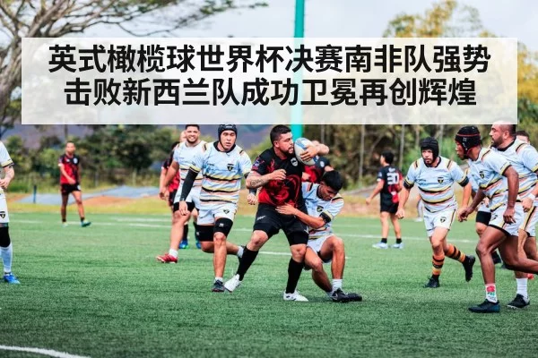 英式橄榄球世界杯决赛南非队强势击败新西兰队成功卫冕再创辉煌